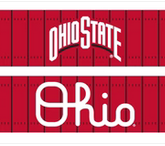 Ohio State Field Scarf
