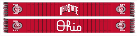 Ohio State Field Scarf
